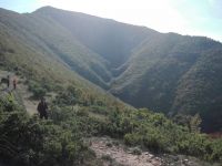 RPanorama-3