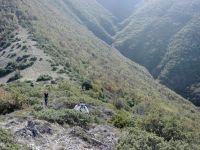 RPanorama-4A
