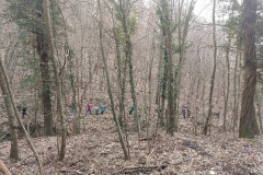 Bosco di Tecchie 19.3.23