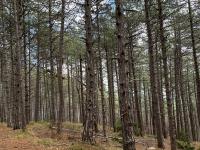 IMG-20240120-WA0038