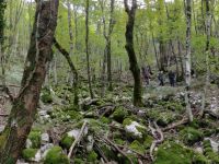 RPanorama-8