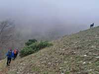 IMG-20240316-WA0004