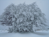 dscn3182