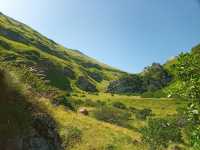 IMG-20200711-WA0024