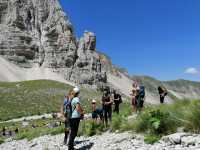 IMG-20200712-WA0015