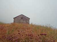 IMG-20200713-WA0025