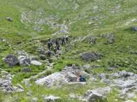 IMG-20200713-WA0052