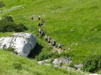 IMG-20200713-WA0058