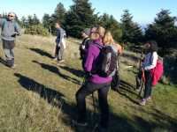 IMG-20201217-WA0016