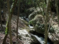 dscn4250
