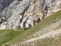col del bos 3