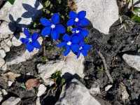 IMG-20200802-WA0027