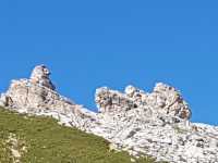 IMG-20200803-WA0018